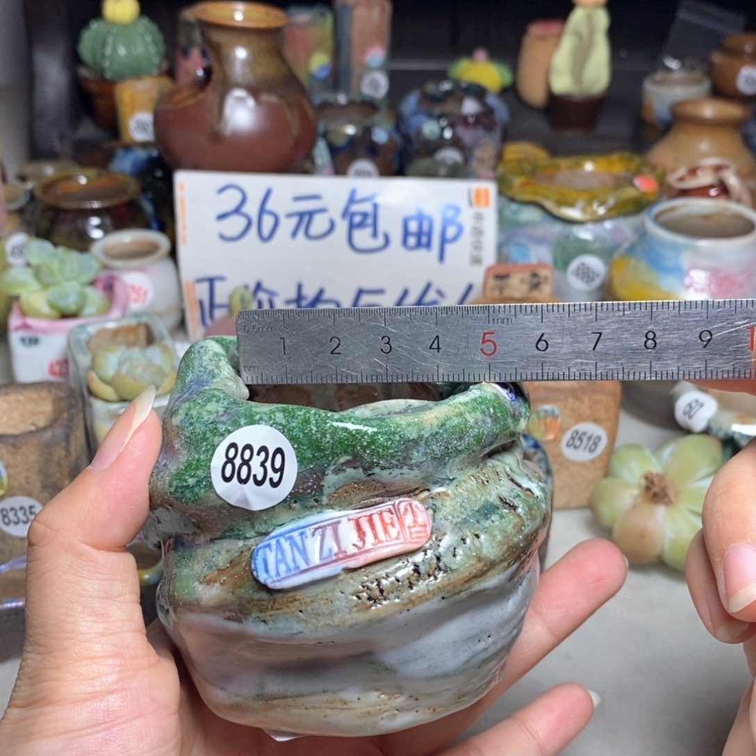 拍3送一个小礼物