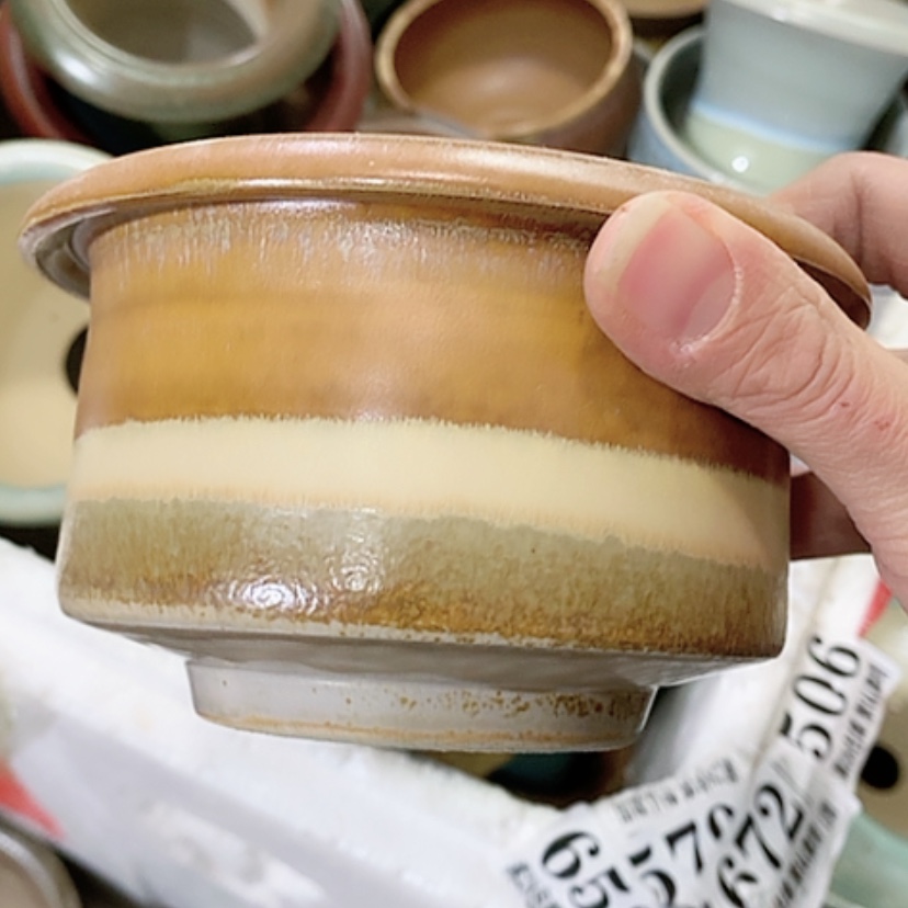 【闪购商品】红陶口10