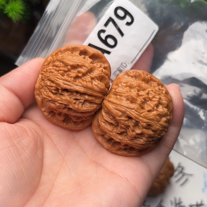 桃核把件核桃白狮子43