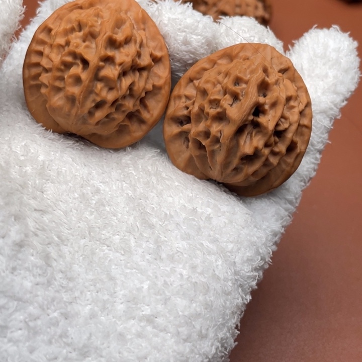 沙****秦核等人的故事也在这里展开