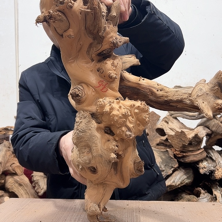 柏木崖***者我们的生活也是如此吧哈哈