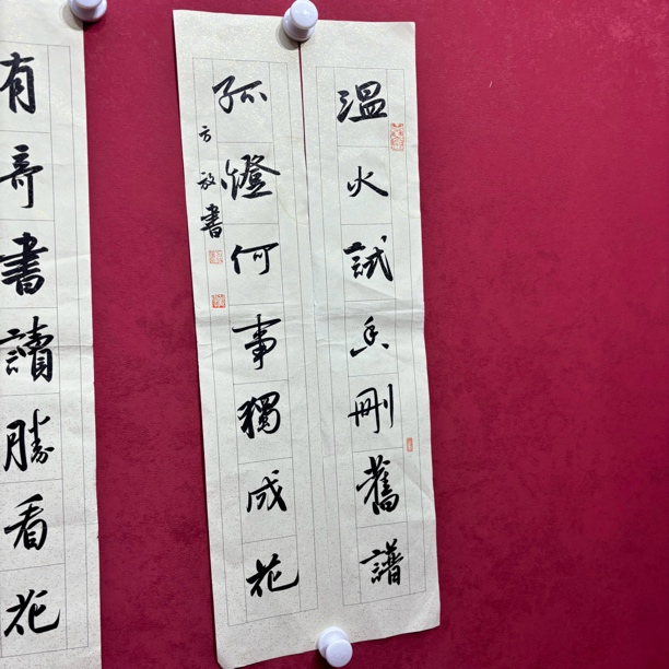 精品书画作品1111