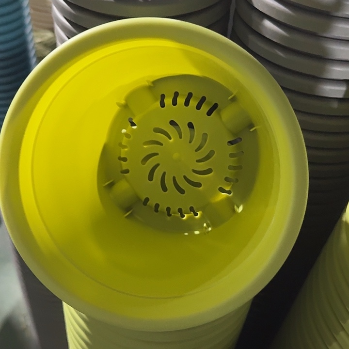 四季2号果绿无托50个特价微瑕