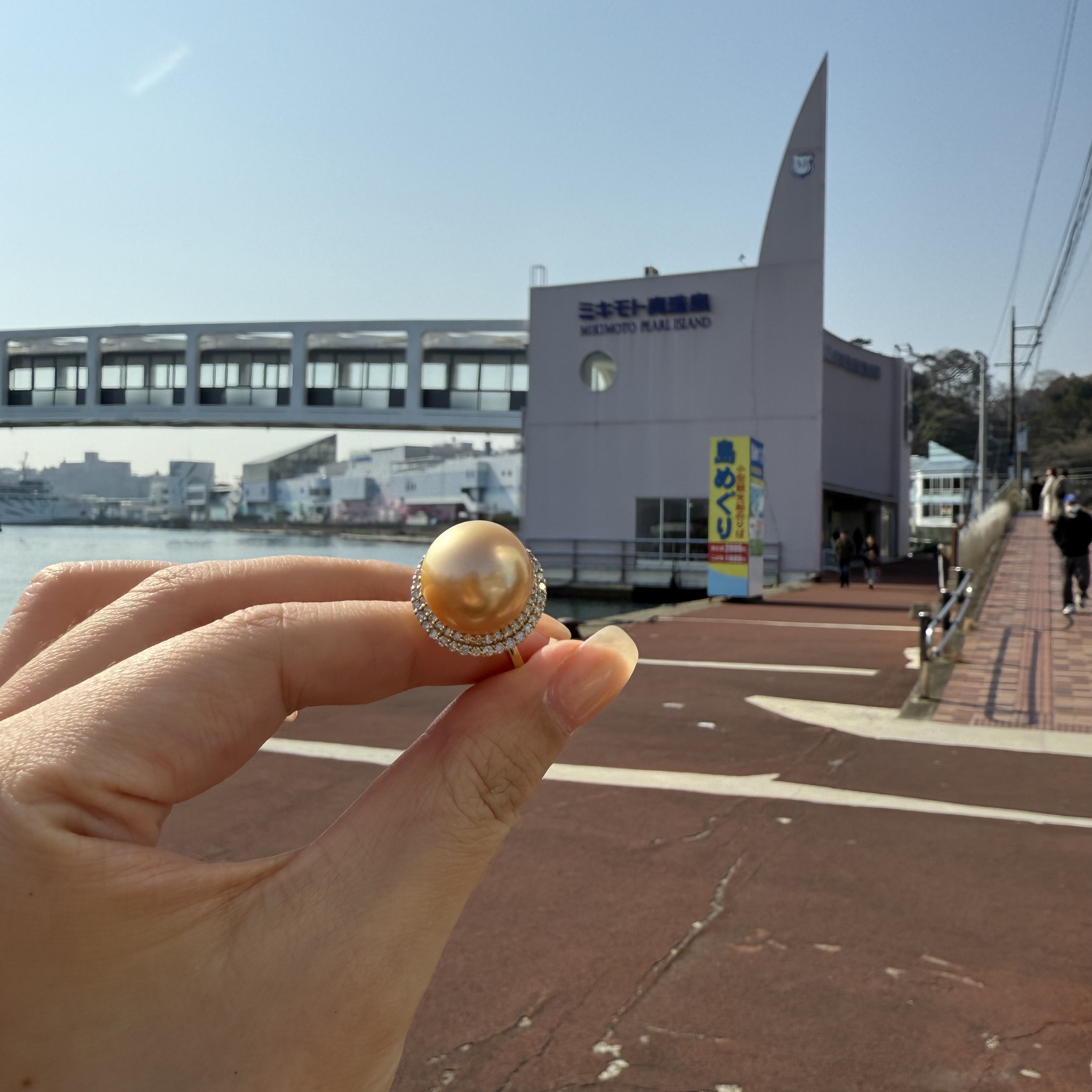 珍珠戒指 14-15mm 日本金珠戒指