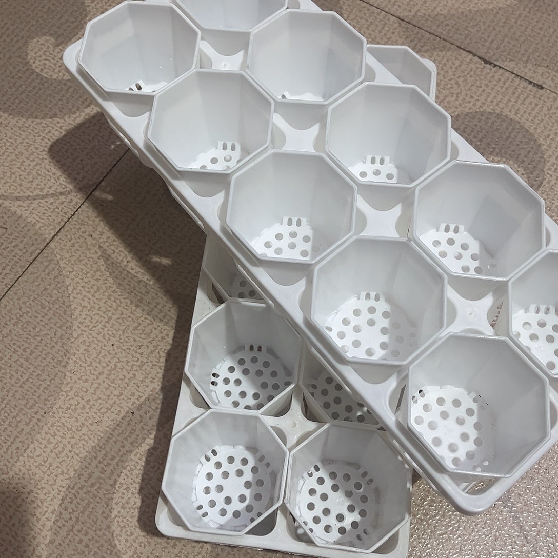 中厚八角口7高7白色20个盆带2个拖架