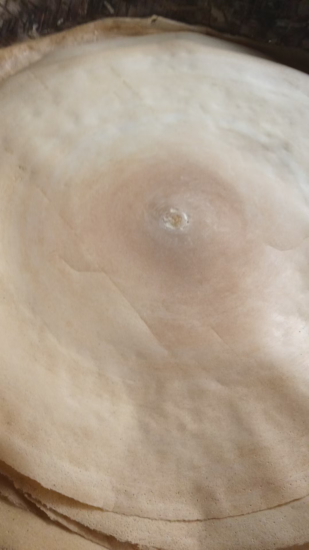 手工煎饼大煎饼纯手工杂粮煎饼山东潍坊临朐高梁玉米燕麦小米煎饼