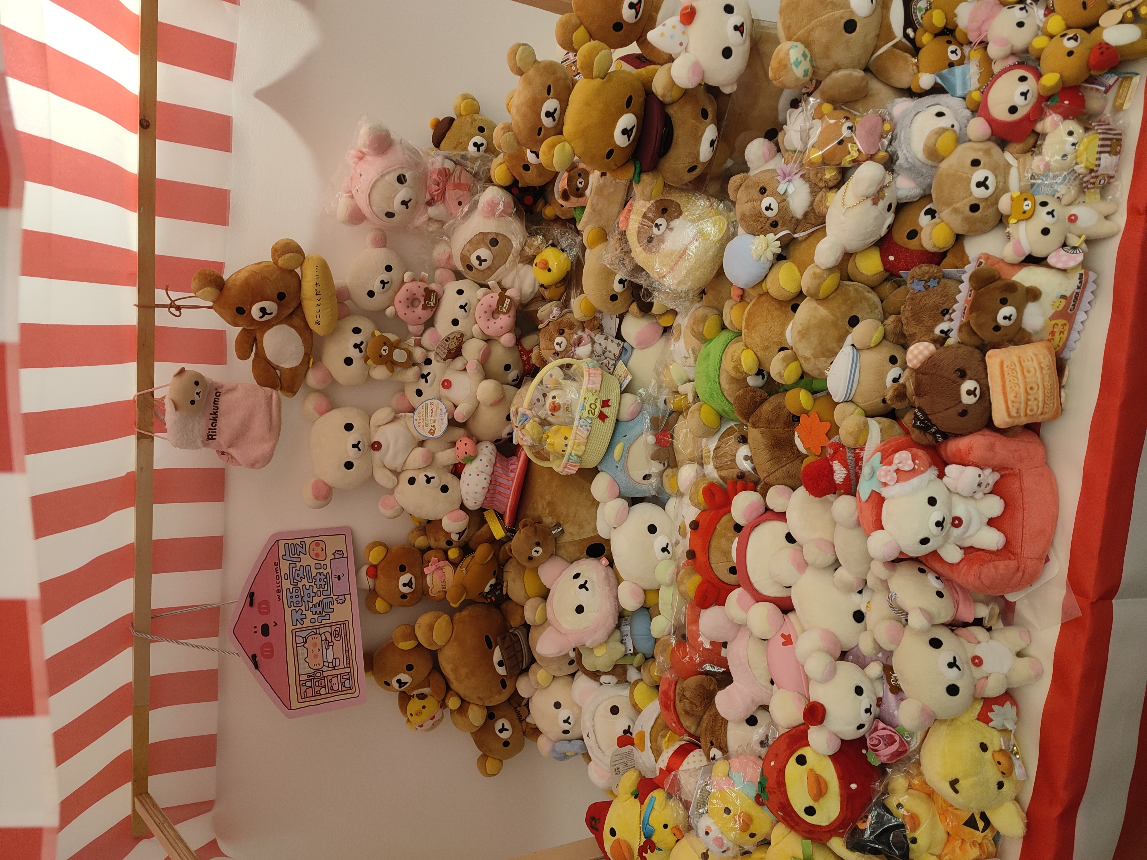 松香小饼购物no退no换