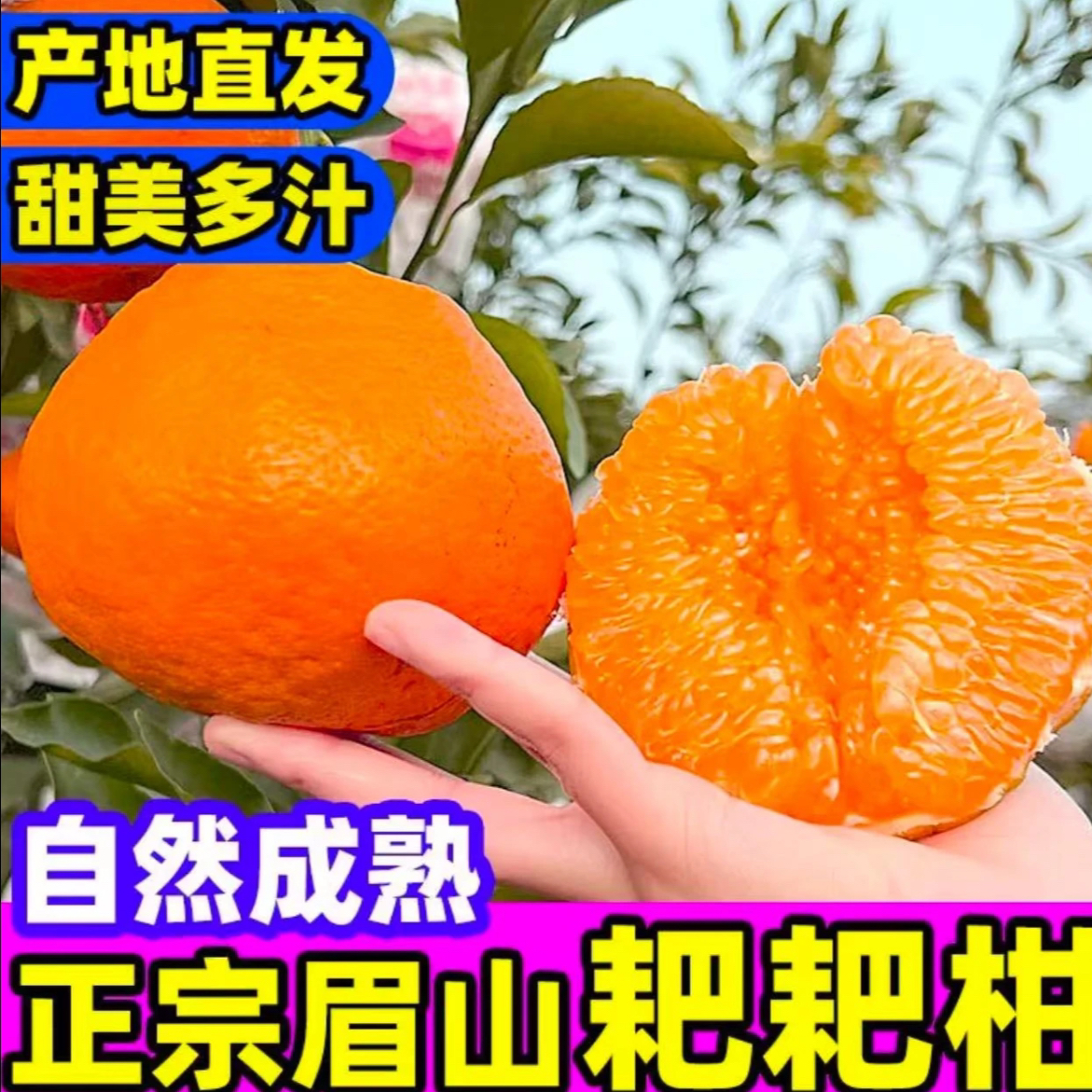 【村书水果一实惠装】正宗四川眉山春见耙耙柑新鲜应季水果现摘现发