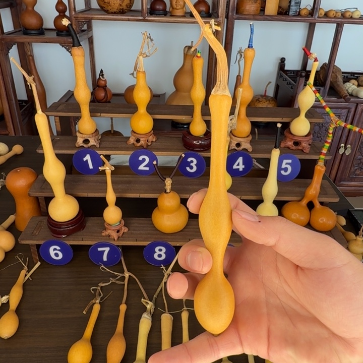 是***呀精品老皮蚂蚁周正