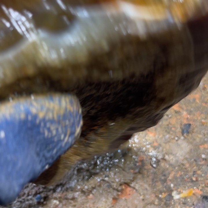 寸***兰定制玛瑙玛瑙手镯