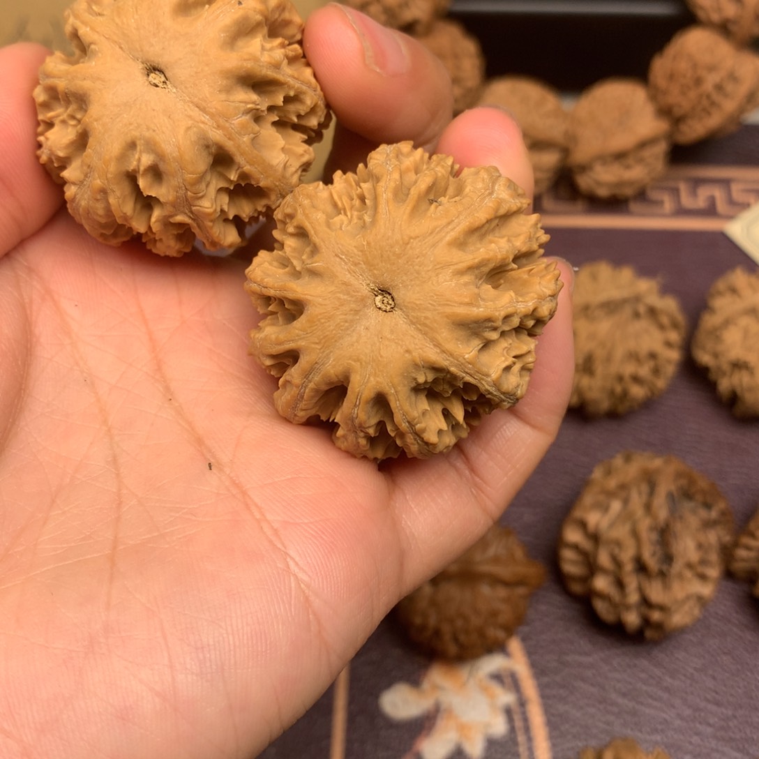 F*姑父人好了没呢今天去