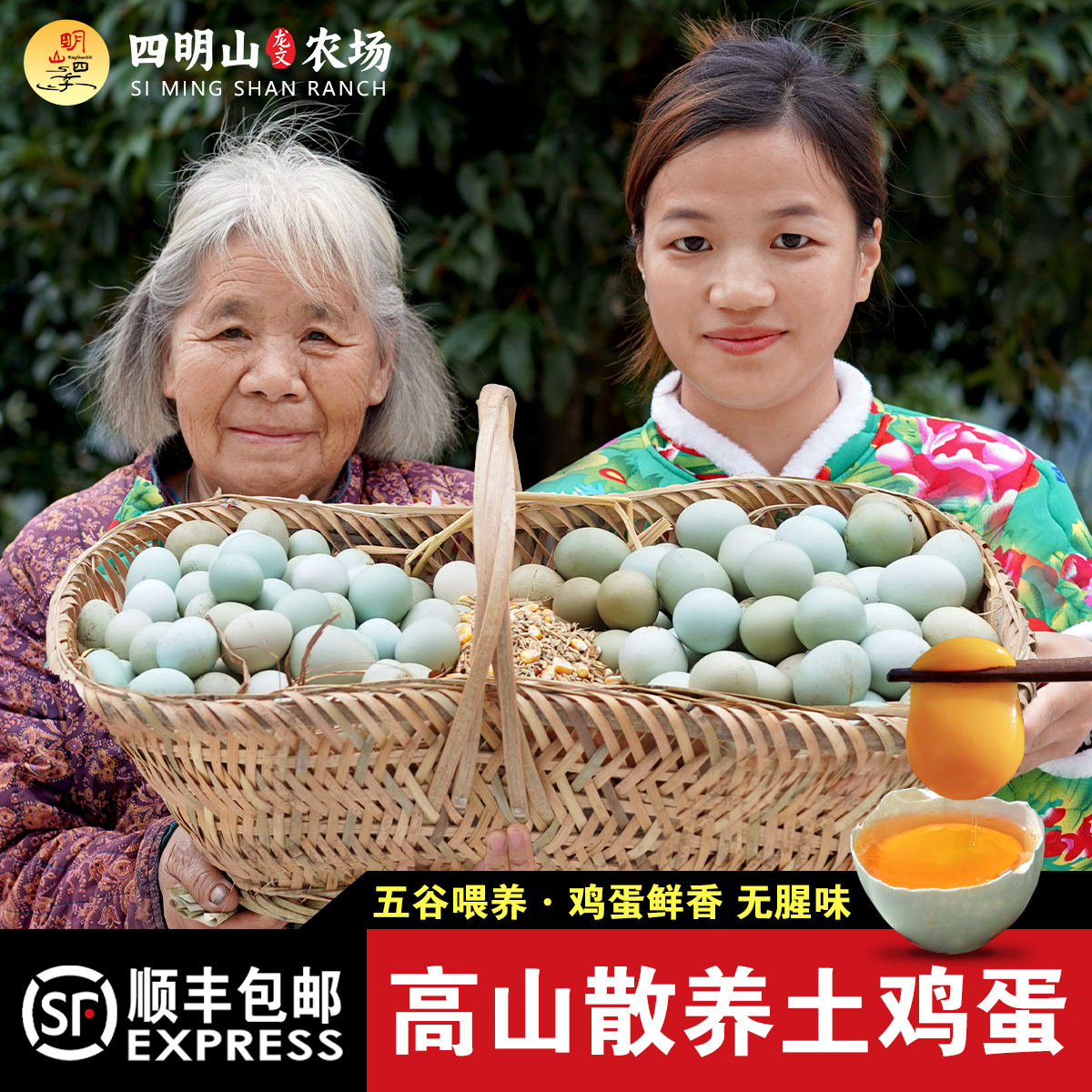四明山农场苏禽绿壳土鸡蛋农家散养新鲜鸡蛋高山生态养殖现捡现发