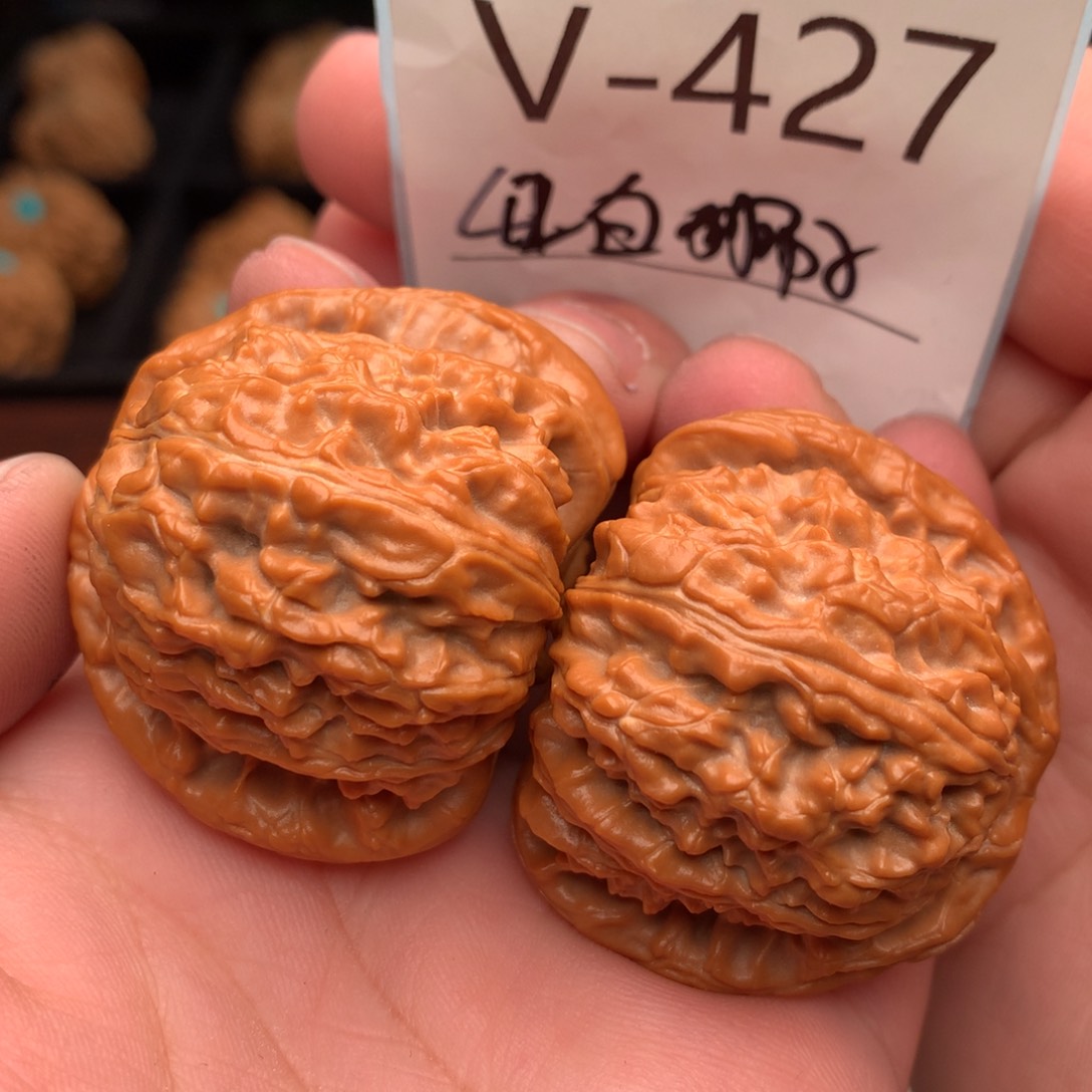文玩核桃把件42白狮子……….