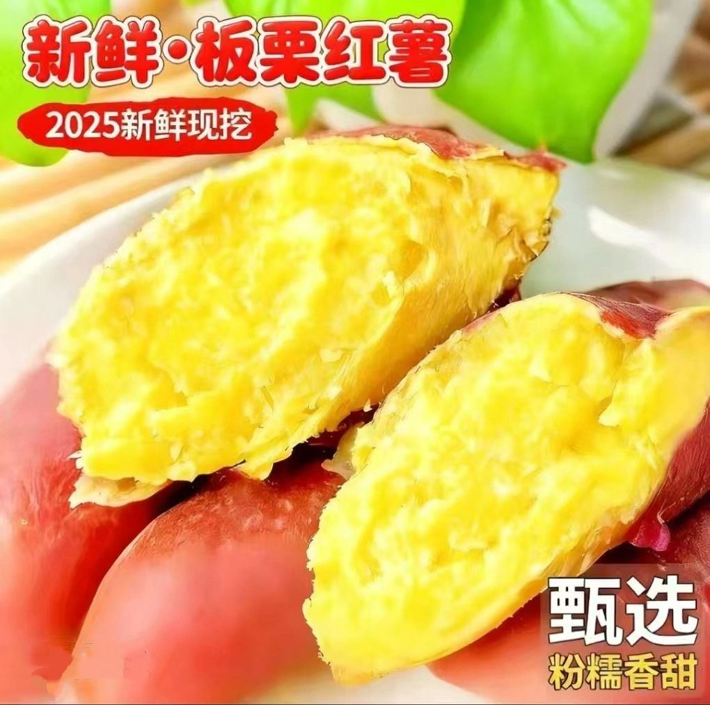正宗新鲜甄选板栗红薯粉面番薯粗粮小香薯烤地瓜甜5-9.5斤