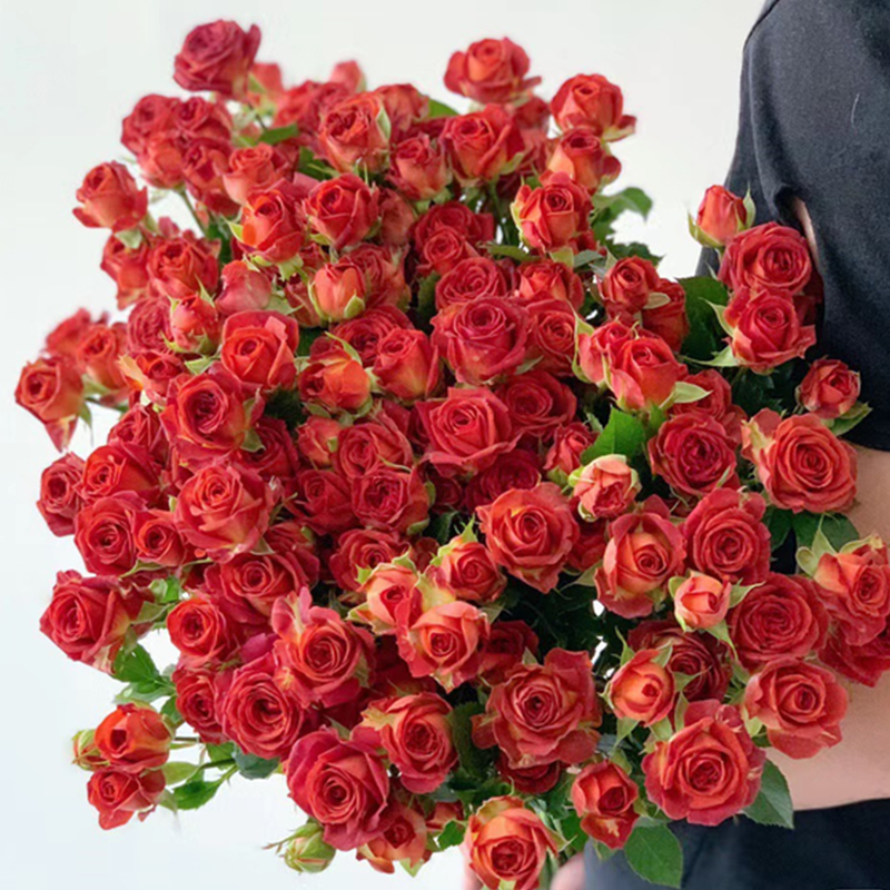 【多头巧克力玫瑰10支】节日花束云南基地直发鲜花插花花艺鲜切花