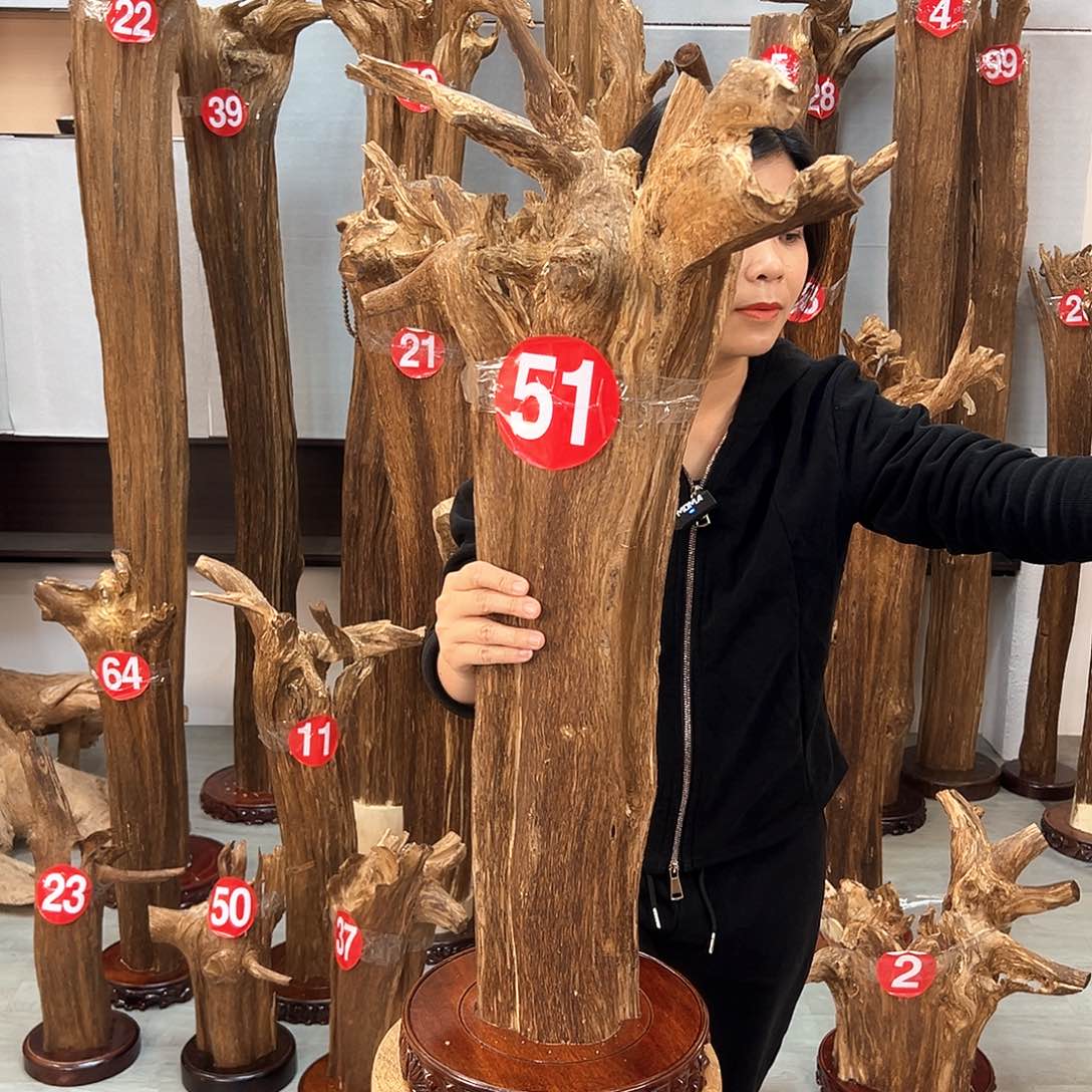 摆件沉香沉香摆件