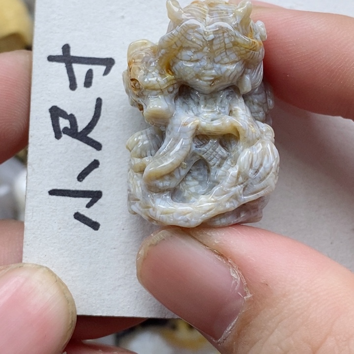 颈饰未镶嵌硅化珊瑚（珊瑚玉）
