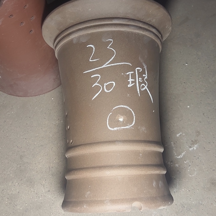 周深周深周深周深周深 