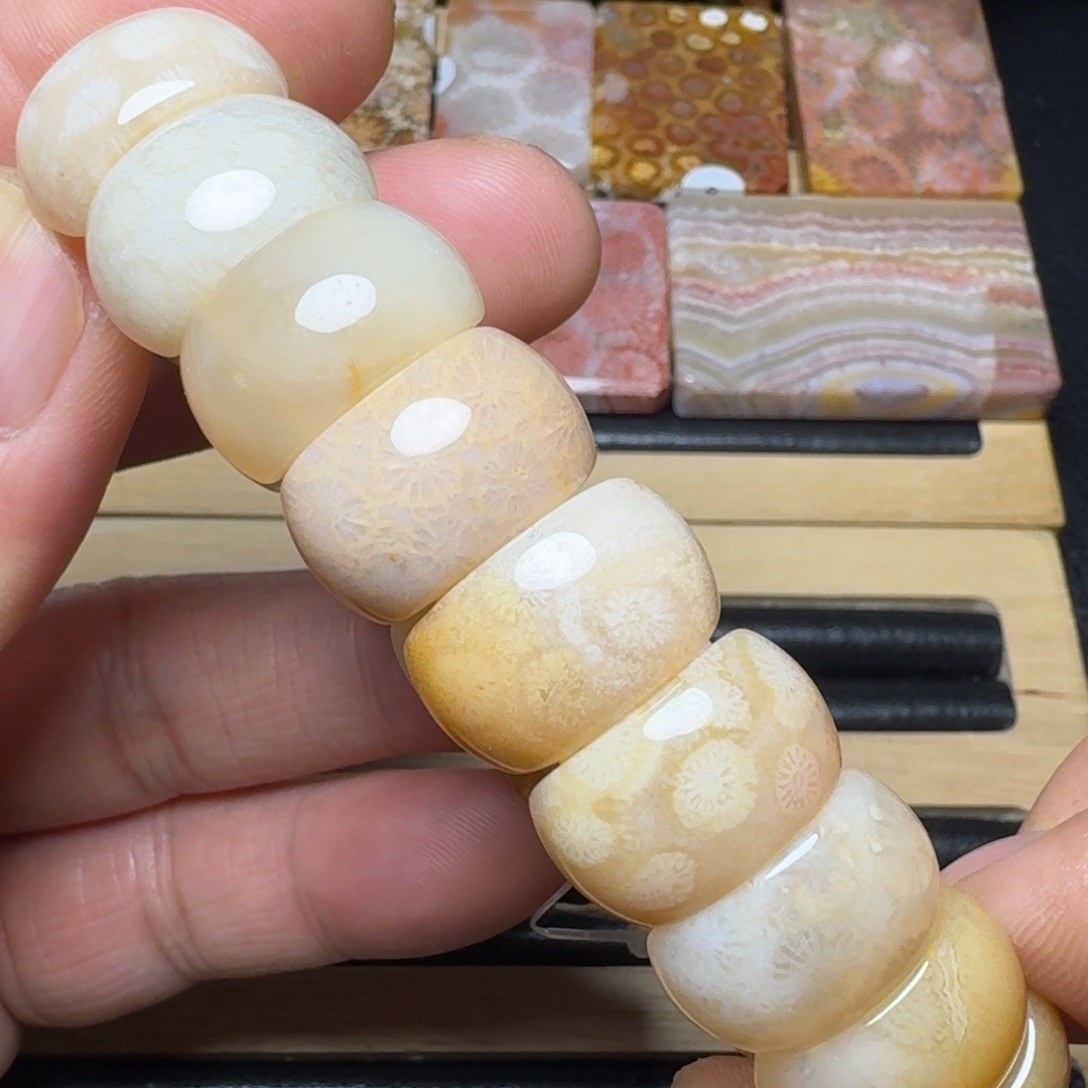 硅化珊瑚（珊瑚玉）纯天然色有机玉石未镶嵌