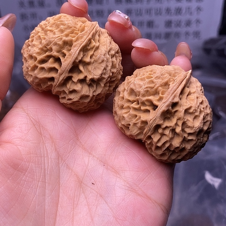 核桃云南野生铁核桃16号41mm