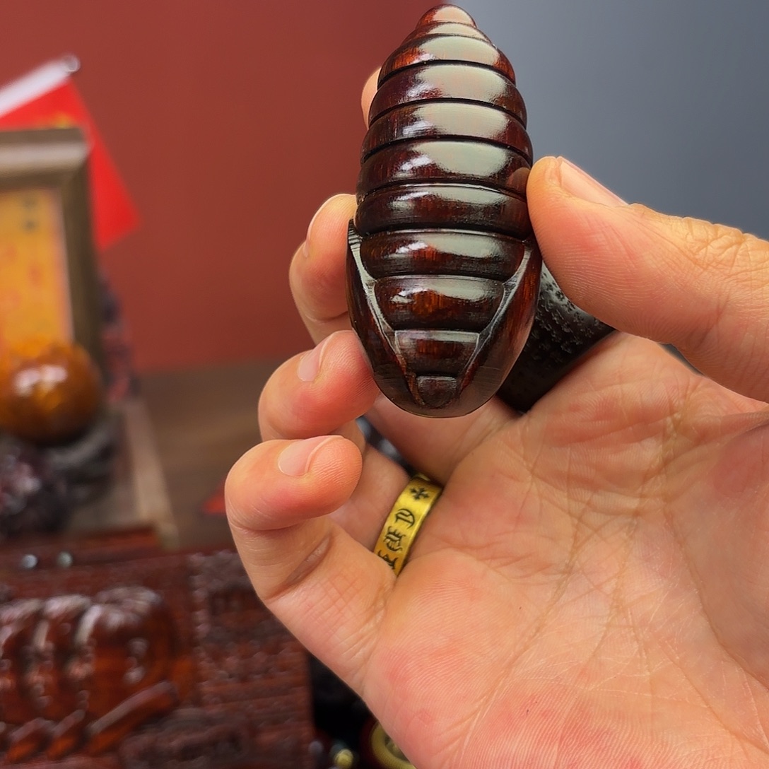 檀香紫檀（小叶紫檀）蛹