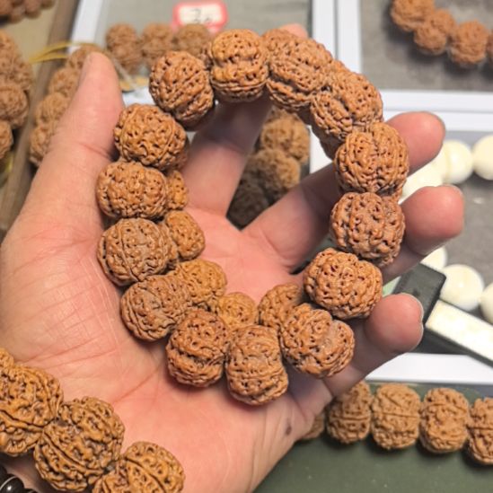 手串金刚菩提五星梅花大金刚手串，22左右尺寸，原皮原色