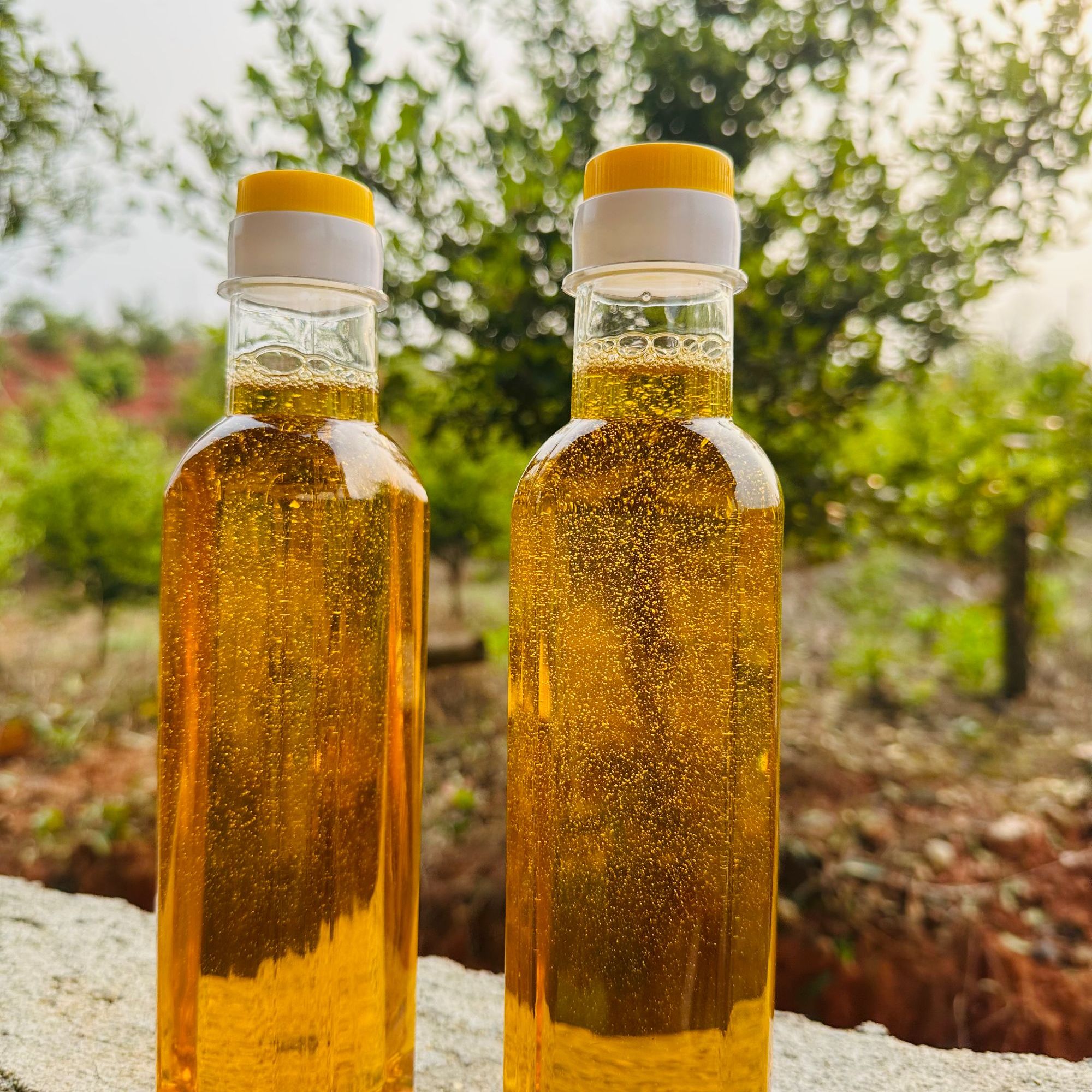 攸爱山茶油500ML*2瓶高山小籽茶油100%山茶油低温物理压榨头道油