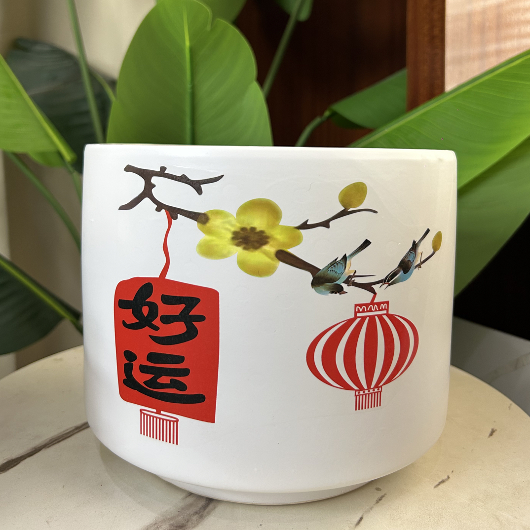 C176口22高18.5创意透气花盆适合蝴蝶兰多肉等绿植室内外装饰