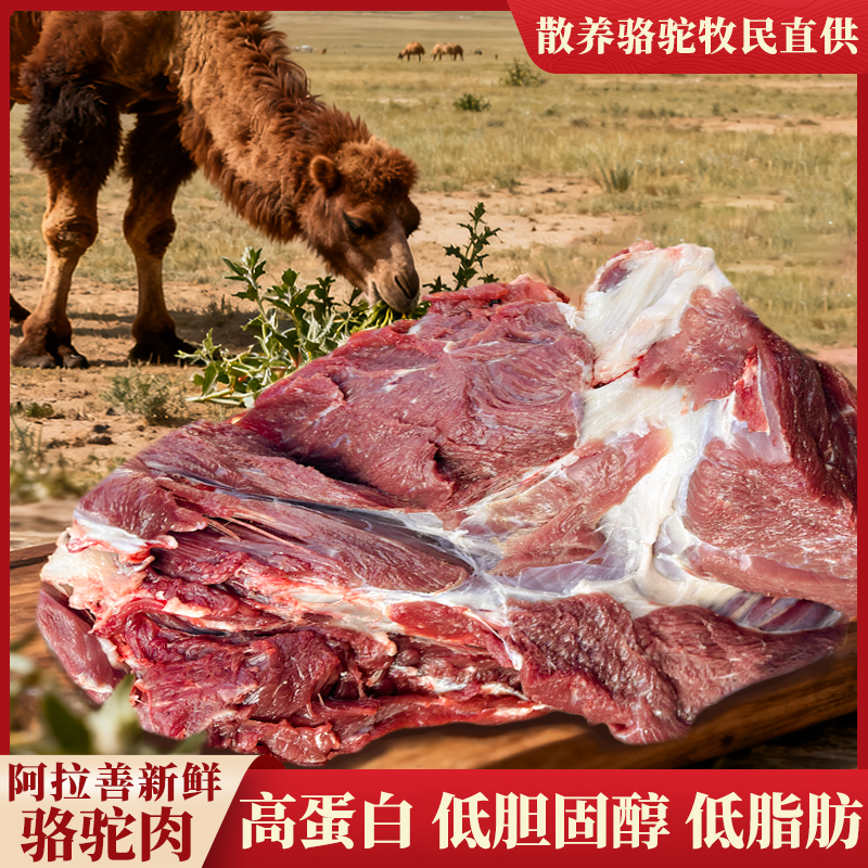 内蒙古阿拉善新鲜驼肉现分割驼排新鲜优质肉质鲜美驼肉送驼峰