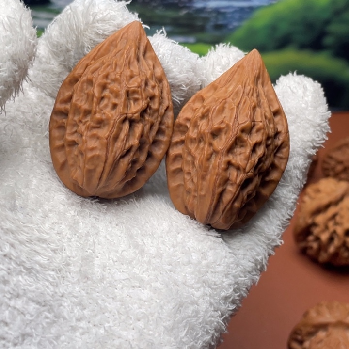 ā***苏秦核等人在这里举行了