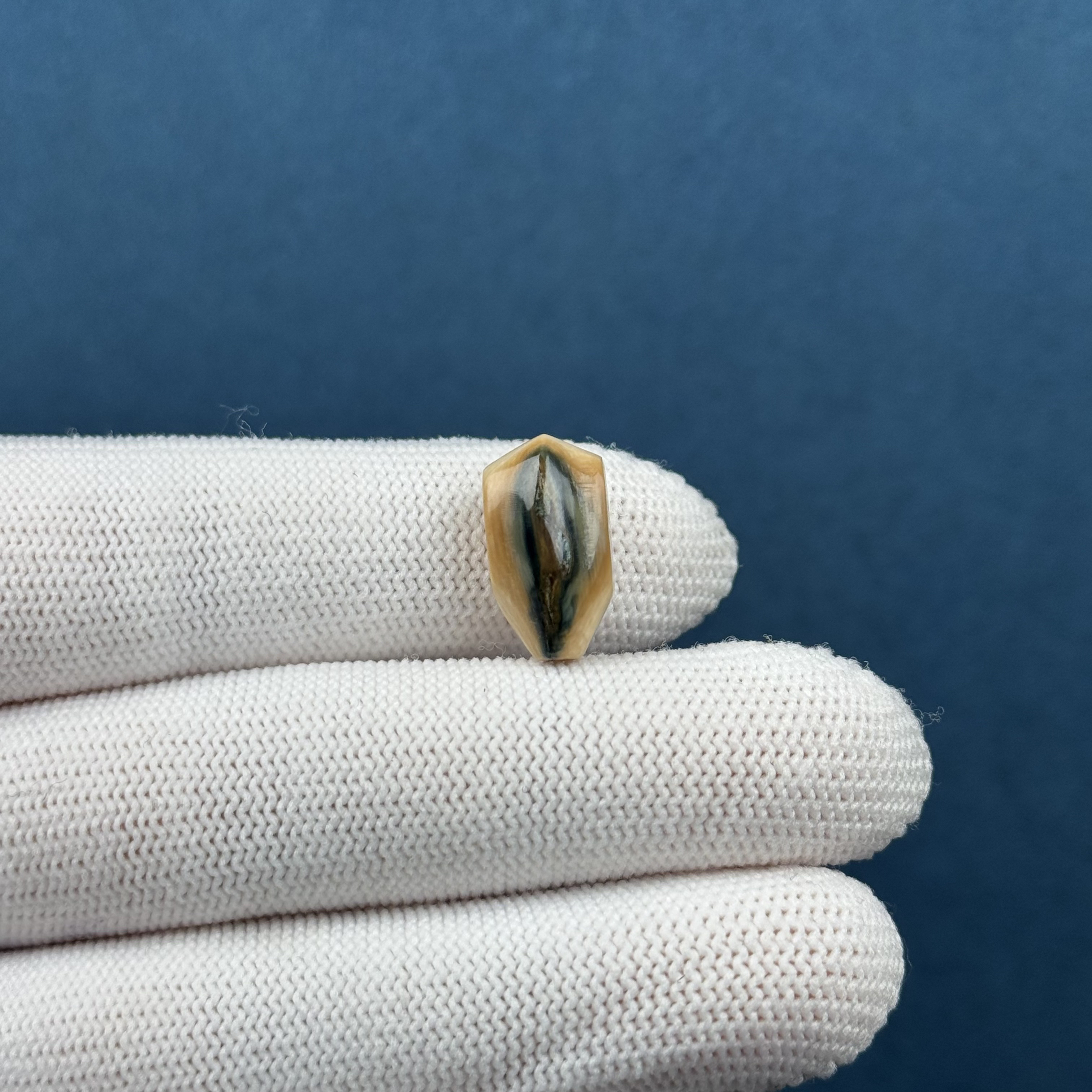 D70-34天然猛犸牙 咖料蓝眼睛三通8.8*16.5mm支持复检假一罚十