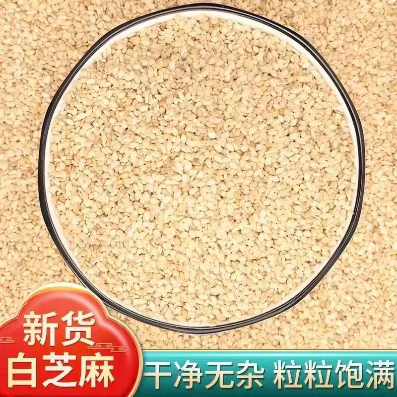 【特级生白芝麻】有机生白芝麻干净无沙颗粒饱满家用优质特级品质