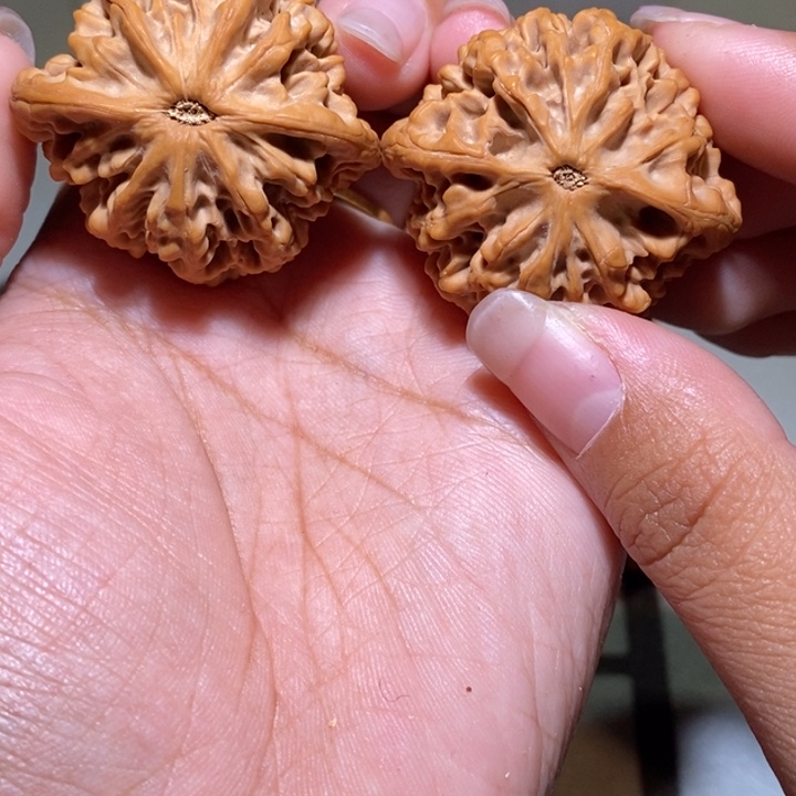 拉***丁手串/手链核桃亲们