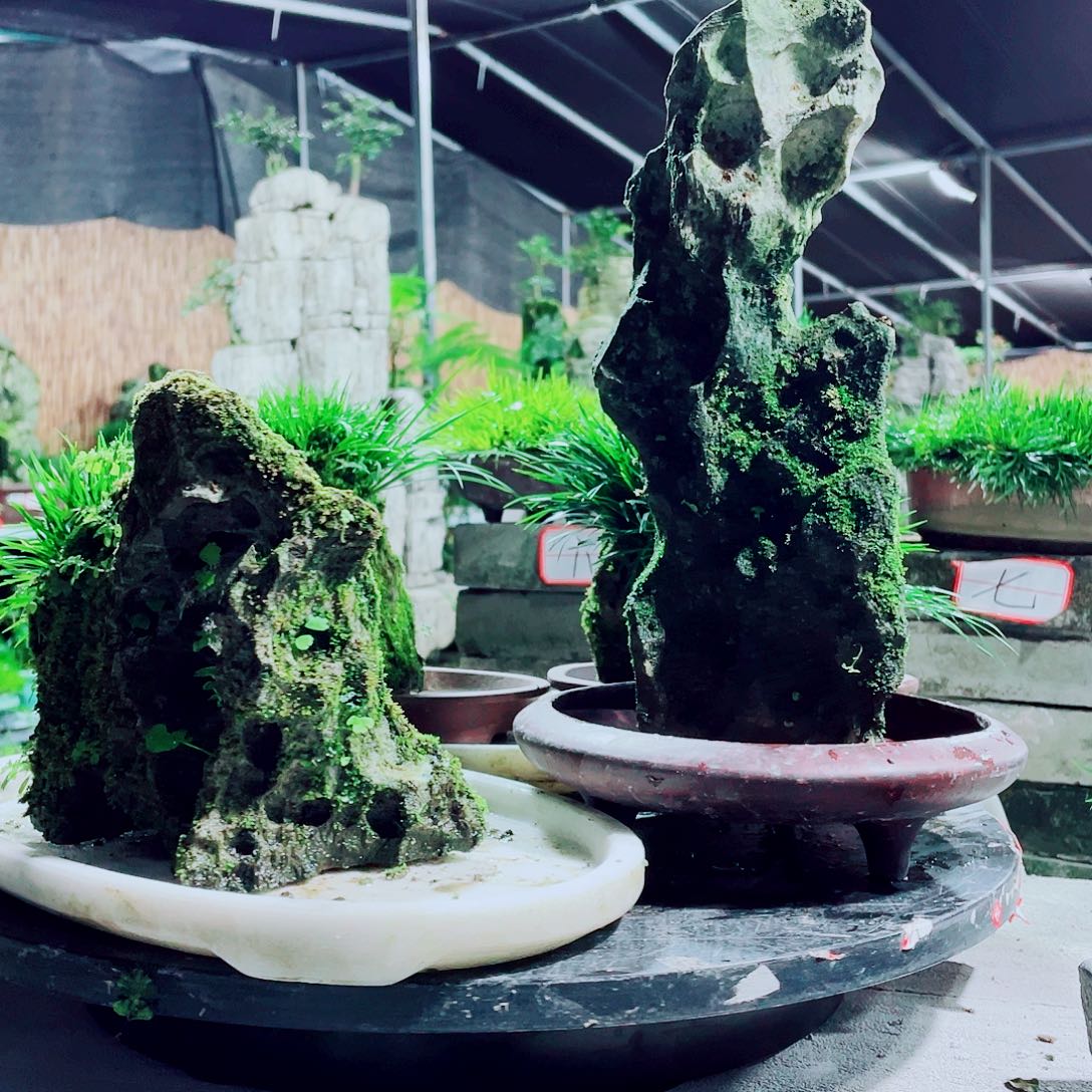 三***鞋无花朵新品上市啦哦吼我是真喜欢