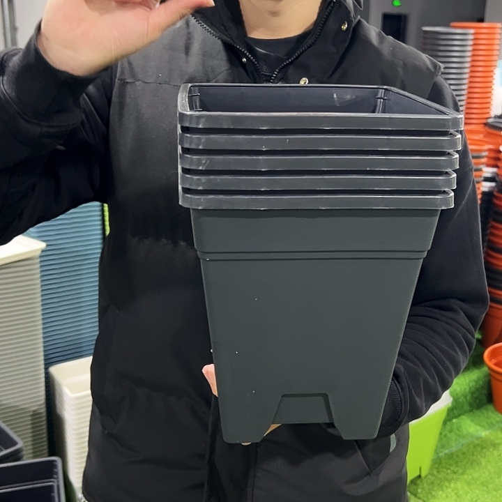 清仓方盆口20高22黑色5只无托