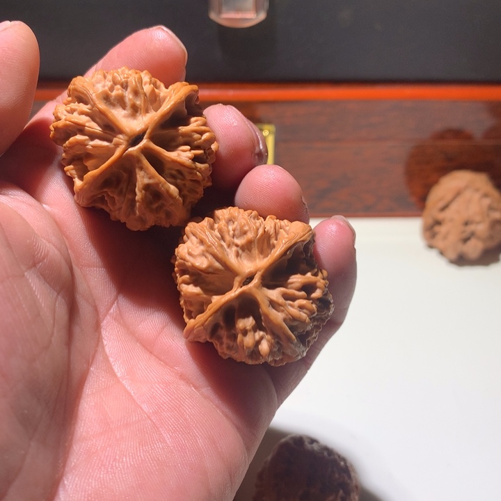 文玩核桃把件李****狗凤凰鼎