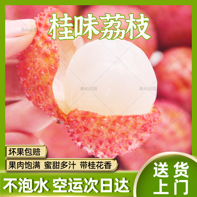 【顺丰次日达】广东增城桂味荔枝现摘鲜果新鲜不泡水应季水果整箱1/3/5/10斤包邮荔枝同城送广东省