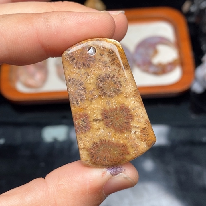 硅化珊瑚（珊瑚玉）手镯未镶嵌