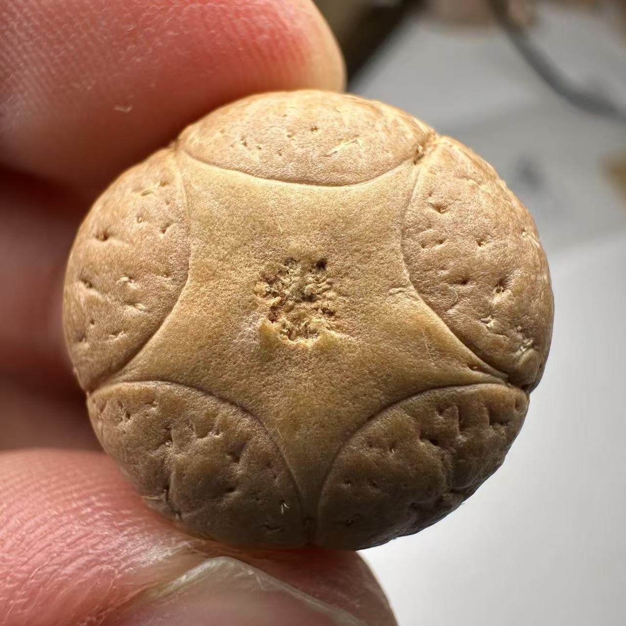 尼泊尔五星菩提，尺寸21，sss系列，货号30