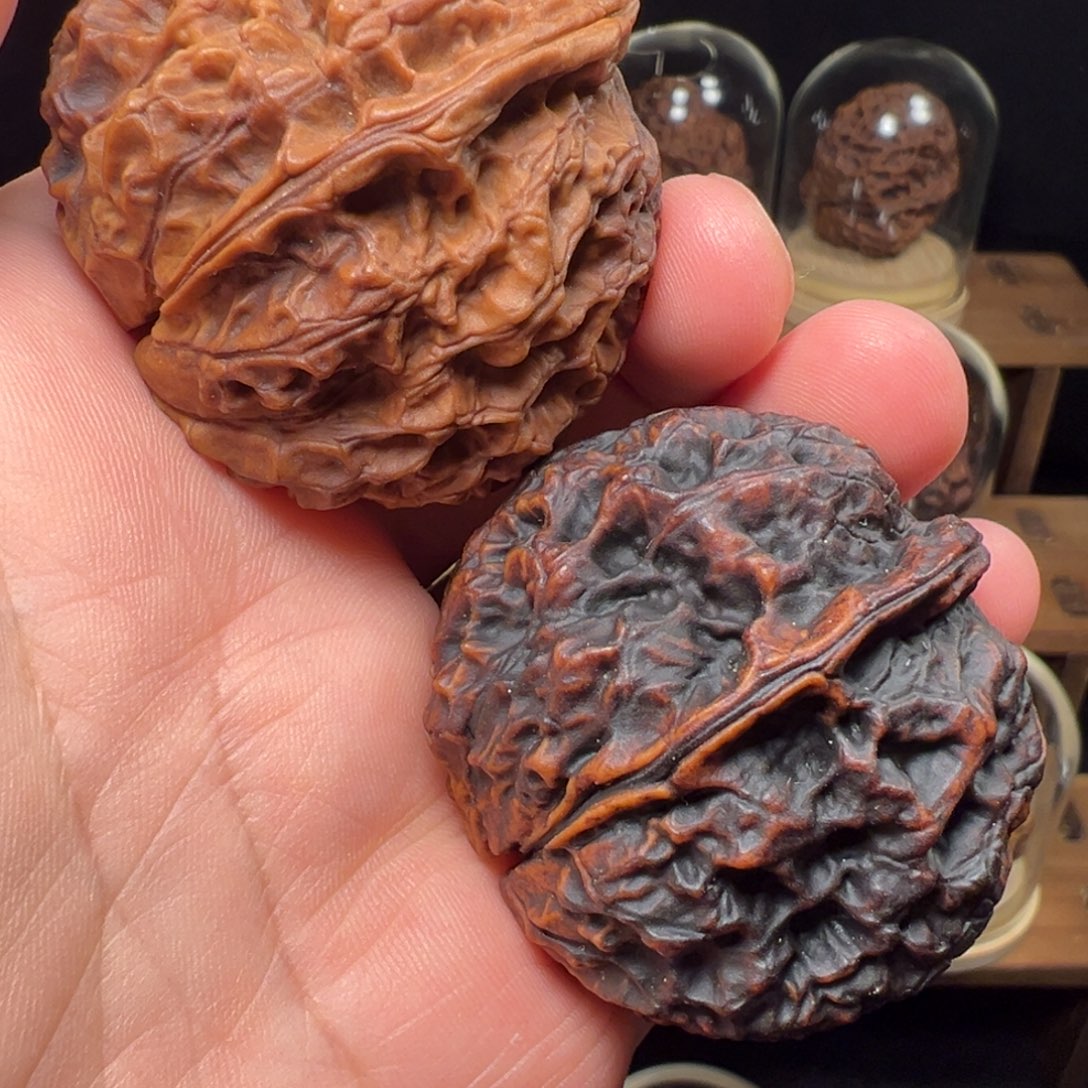 文玩核桃把件卧龙金蟾46mm