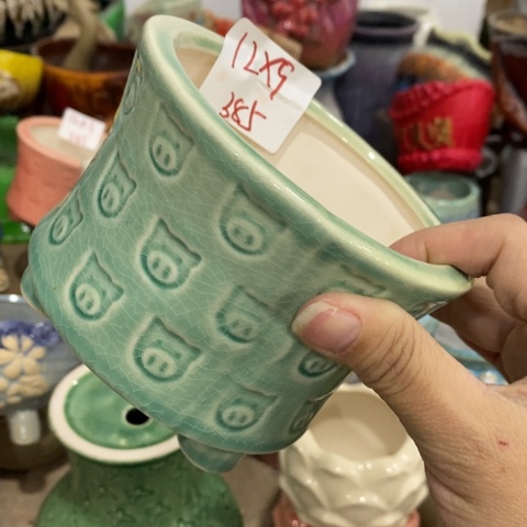 陶瓷Q385浅绿31331313