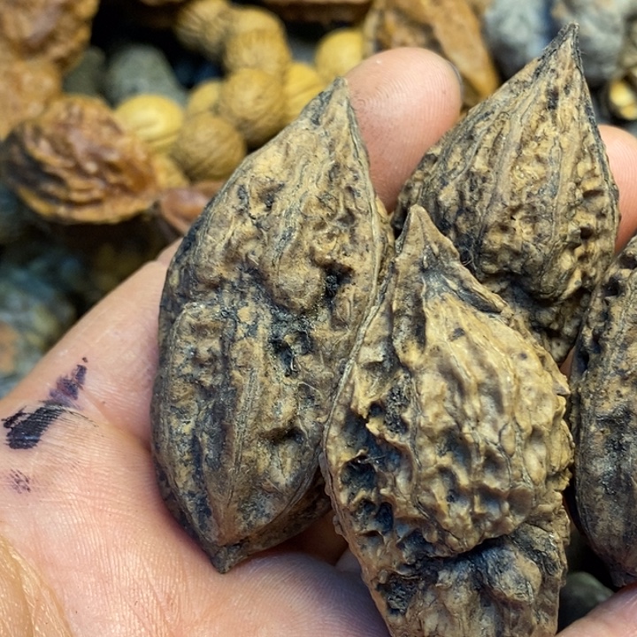 桃核吊坠娜姐真的89