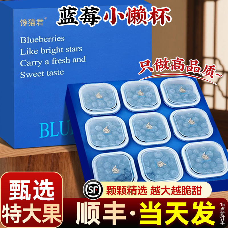 【顺丰送上门】正宗蓝莓小懒杯鲜果礼盒现货超能杯枝新鲜水果包邮云南省