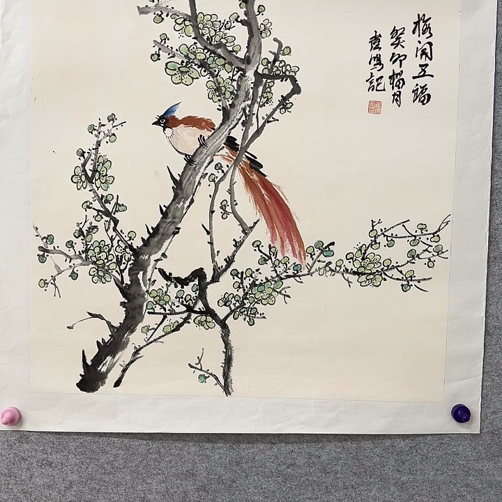 国画花鸟等多种鸟类的栖息地和栖息环境