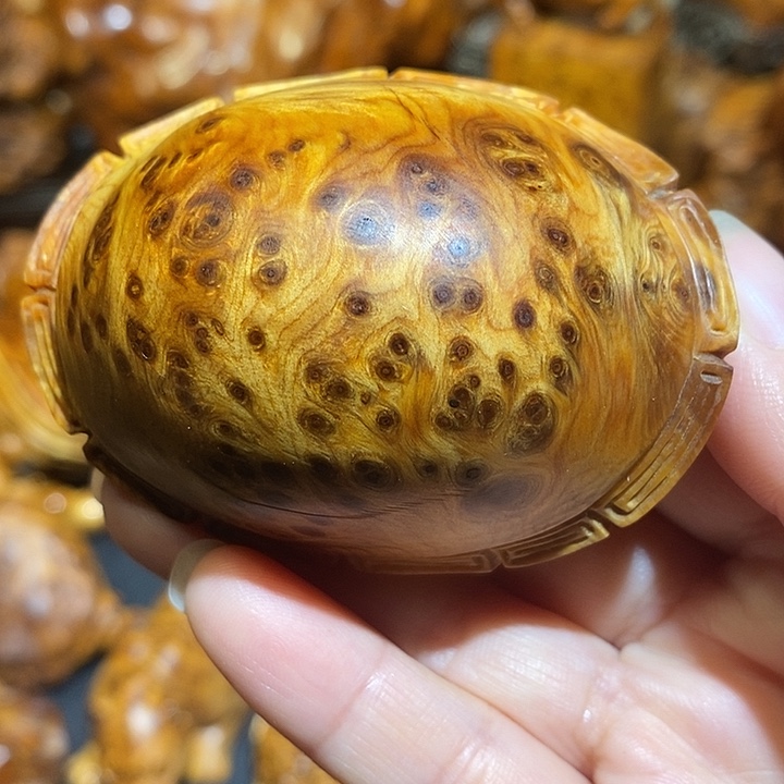 柏木太行崖柏陈化