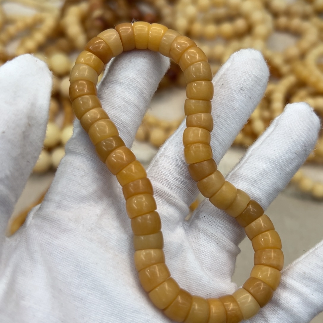 菩提根/象牙果吊坠树王肠h276