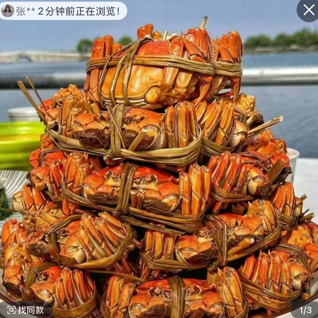 【活蟹】江苏太湖母蟹3.0-3.3两公蟹4.0-4.3两6只装