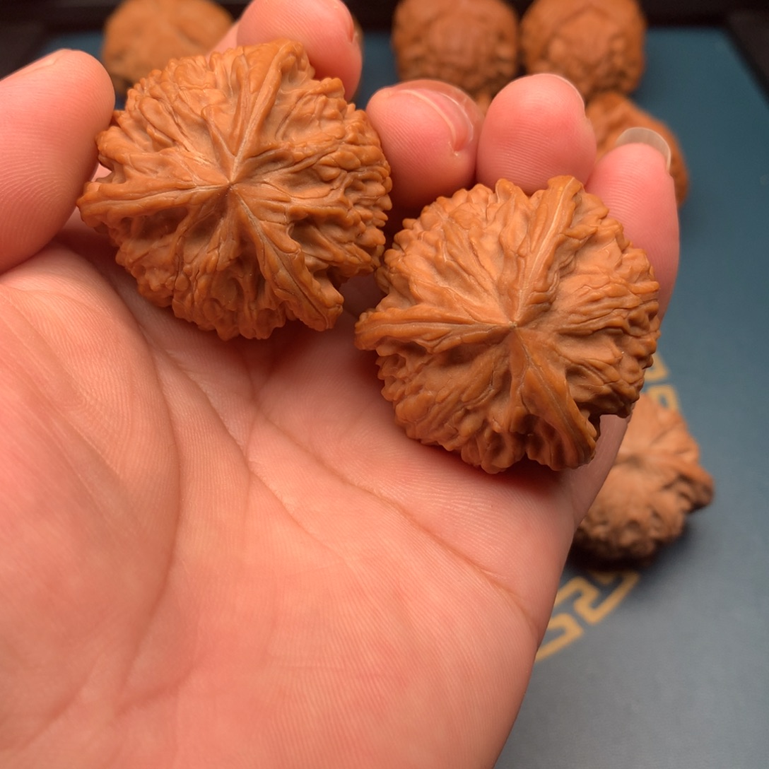 把件文玩核桃御龙奔