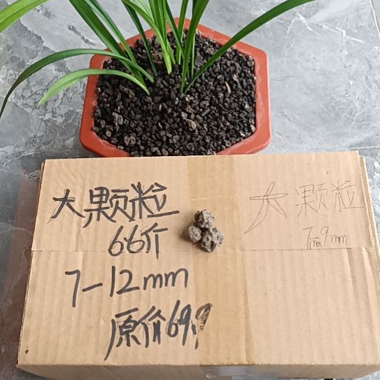 波****兰菌黑山土大颗粒6.6斤