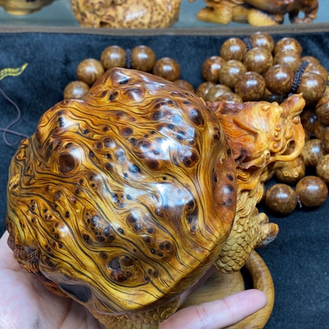 柏木（崖柏）太行崖柏陈化料变异瘤龙龟